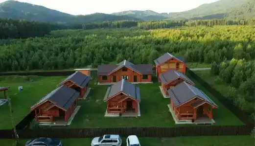 Кедр - 0