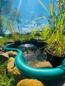 Остров Зеленый - 2