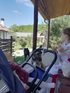 Станъ - 12