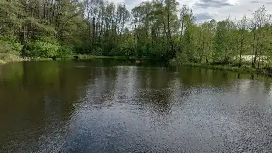 Берендей - 64