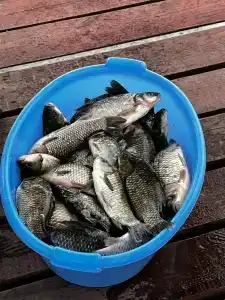 Тихий Причал - 39