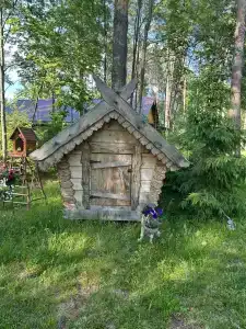 Остров Зеленый - 26