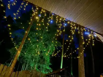 Magic Wood - 9