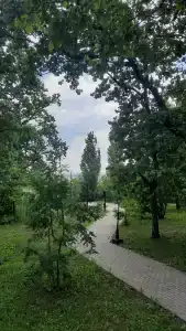 Хуторок - 31