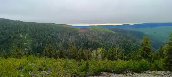 Эвен - 54