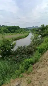 Мелодия моря - 13