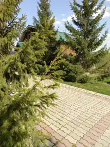 Баньки на Первом - 7