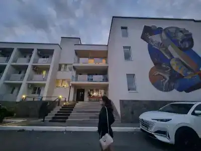 Чайка - 25