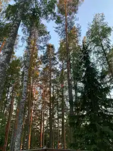 База Сокол, озеро Глубокое - 46