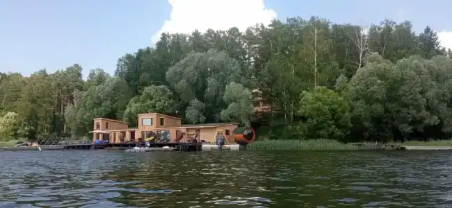 Клен - 29