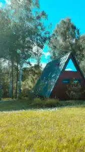 Ильинка лес - 10