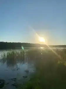Кусторка - 39