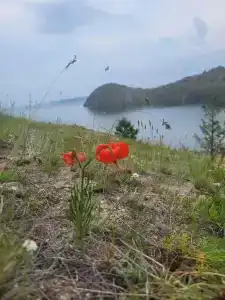 Байкальская Радуга - 17