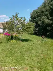 Райский Бережок - 12