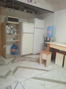 Светлана - 27