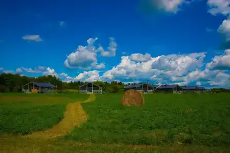 Новое Волосово - 86