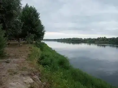 Тишанка - 11