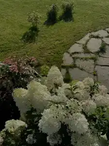 Новое Волосово - 85