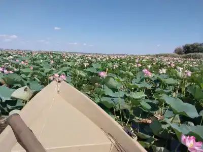 Раскаты - 5