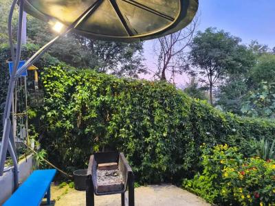 Гостевой дом у Кедра - 20