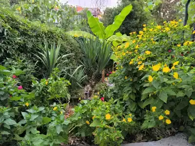 Гостевой дом у Кедра - 22