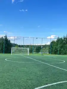 Огниково - 86