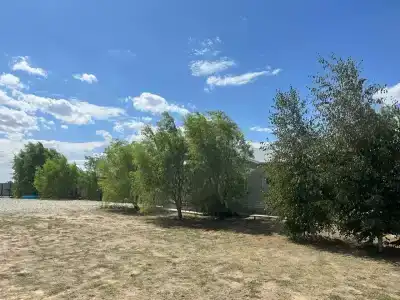 Рыбацкий домик на Волге - 26