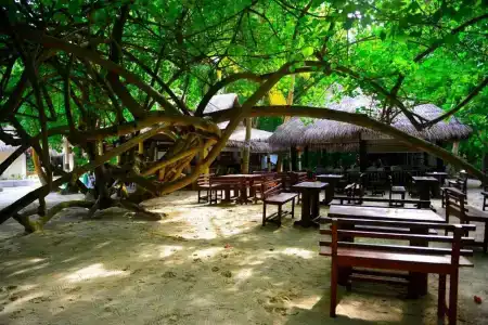Biyadhoo Island Resort - 28