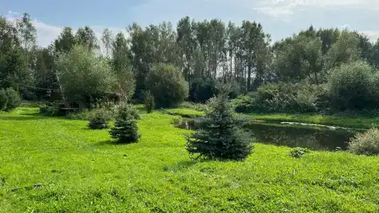 Медвежье урочище - 7