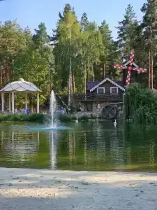 Лесная сказка - 47