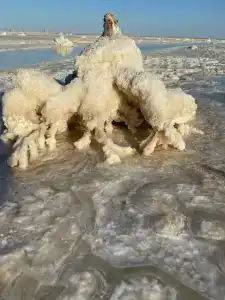 Баскунчак - 14