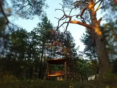 Пчелинцево - 65