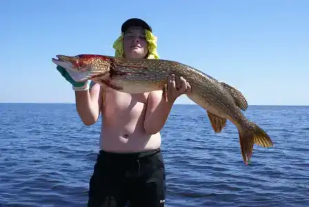 Big Fish - 7