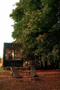 Лесной Привал - 85