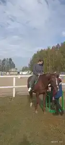 Кумыс. ру - 42