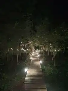 Хвоя Secret Place - 17