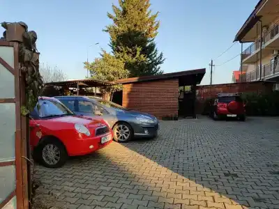 Рассвет - 13