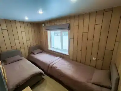 Сосновые шишки - 23