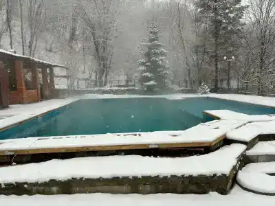 Эдельвейс - 22