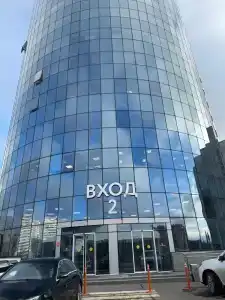 Sunflower by Zont - 64