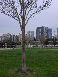 The Green Park Pendik - 39