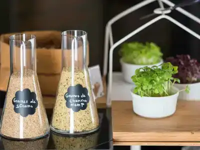 Novotel Vilnius Centre - 56