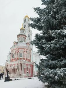 Салют - 46