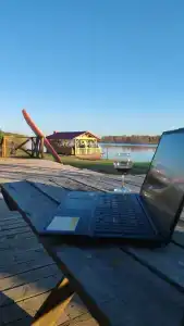Шишкин лес - 25