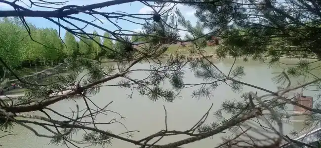 Лукоморье - 53