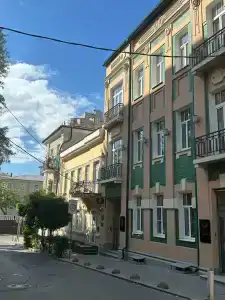 Пальма - 20