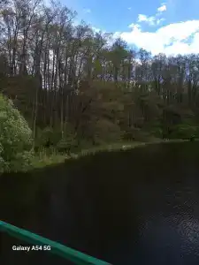 Берендей - 75