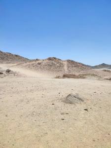 Ali Baba Palace -Families and Couples Only- - 65