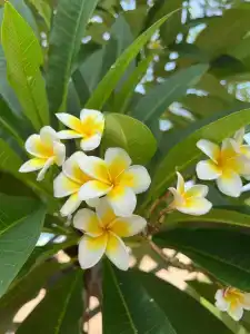 Dor-Shada Resort By The Sea - 25