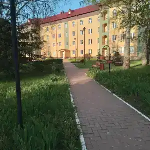 Борок - 43
